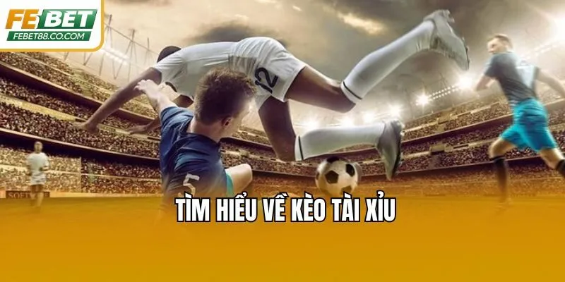 TÌm hiểu về kèo tài xỉu