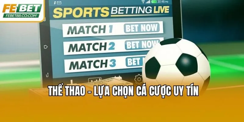 Thể thao - lựa chọn cá cược uy tín